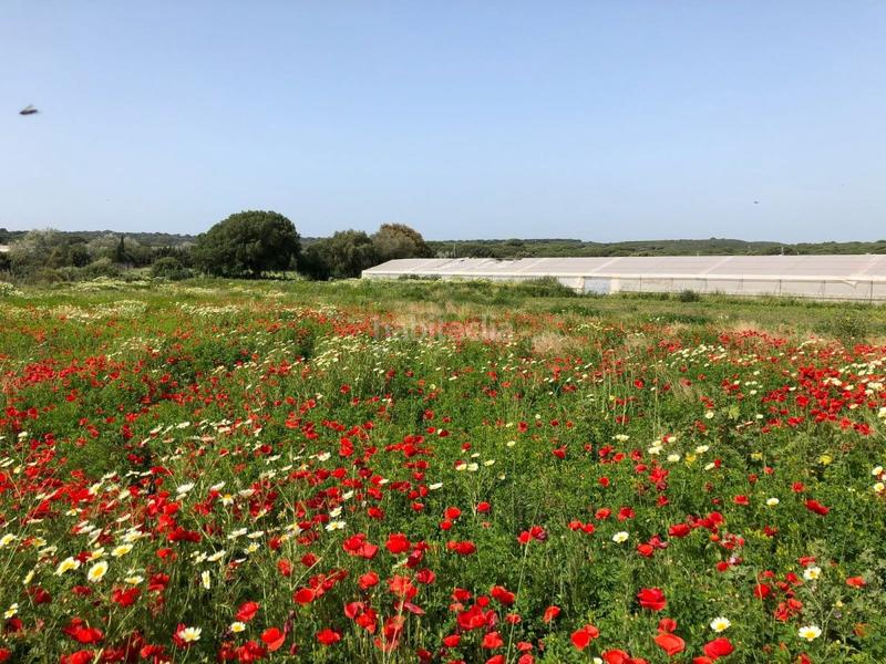 Foto 7986b87f-52f1-49c7-9068-ead4dfdcb4b6. Finca rústica bonita parcela rústica con invernadero en Barbate