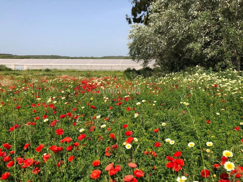 Foto 7ffcd8f2-46a2-4952-b035-587208b2cb79. Finca rústica bonita parcela rústica con invernadero en Barbate