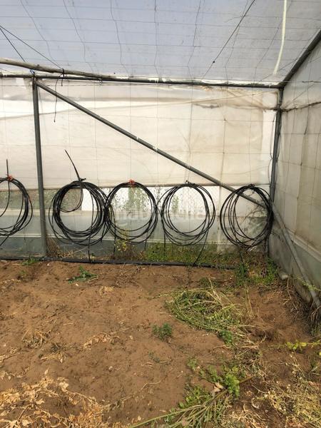 Foto 85e68661-669d-4036-b474-397aa52b5ced. Finca rústica bonita parcela rústica con invernadero en Barbate