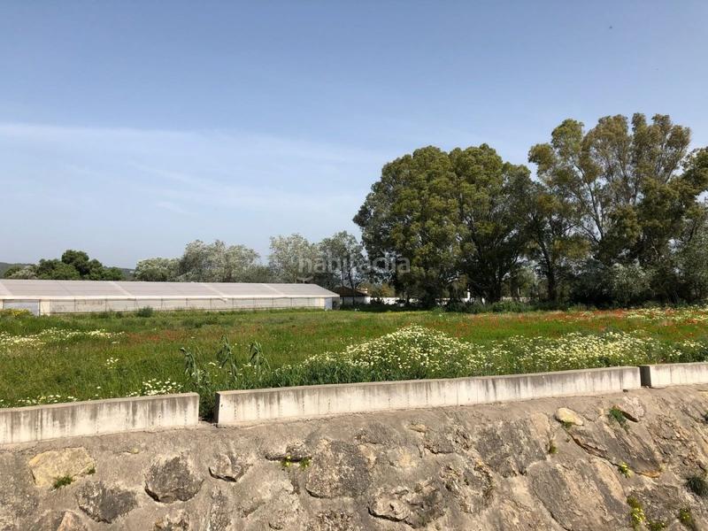 Foto 8719573f-b009-40ea-9ce4-2809afbab0bb. Finca rústica bonita parcela rústica con invernadero en Barbate