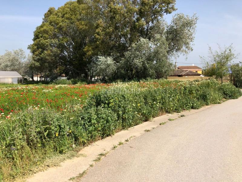 Foto 8f2bd014-dd04-4d73-b44c-2cffdf1a9a4e. Finca rústica bonita parcela rústica con invernadero en Barbate