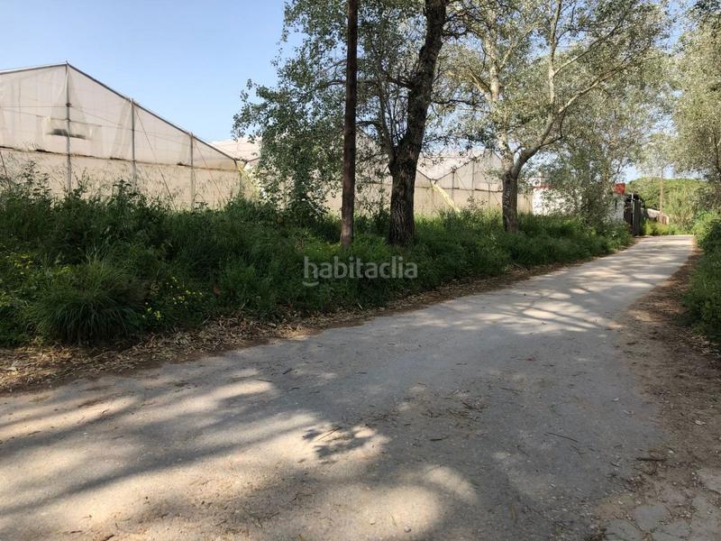 Foto 951b182f-9656-42a1-8880-09f3da9ec357. Finca rústica bonita parcela rústica con invernadero en Barbate