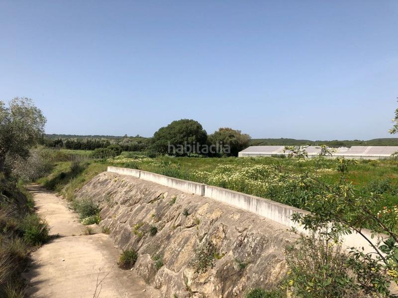 Foto a4975ccf-679d-4999-ac75-92e6d504f66a. Finca rústica bonita parcela rústica con invernadero en Barbate