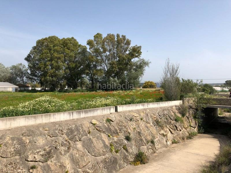 Foto a95c6391-313d-46f3-b31b-d61956a05aef. Finca rústica bonita parcela rústica con invernadero en Barbate