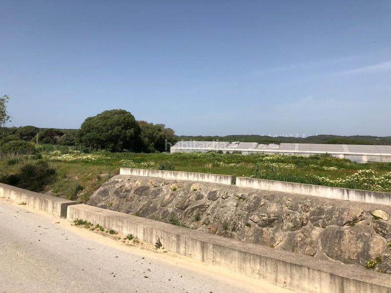 Foto ae31fa35-9b70-491f-b399-65dde80ae287. Finca rústica bonita parcela rústica con invernadero en Barbate