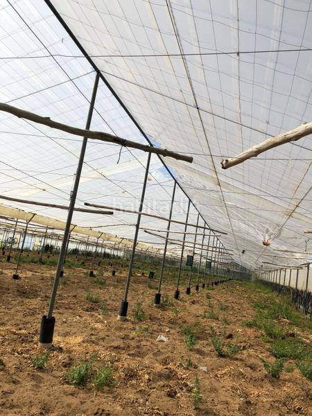 Foto c2579af6-aacf-4939-9ece-5aa351fc45fc. Finca rústica bonita parcela rústica con invernadero en Barbate