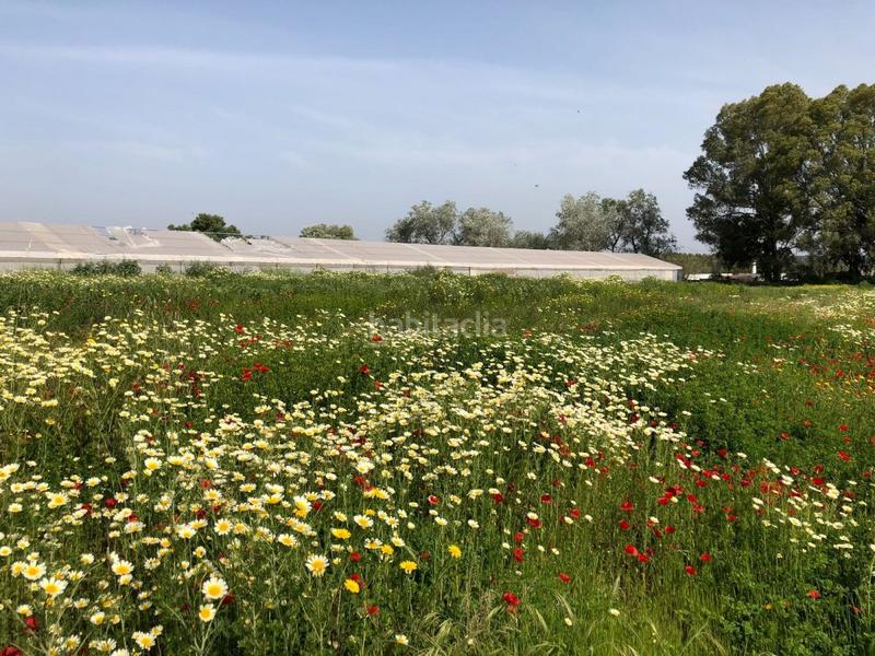 Foto c516b8ed-1041-498a-92e6-26c3481631f8. Finca rústica bonita parcela rústica con invernadero en Barbate
