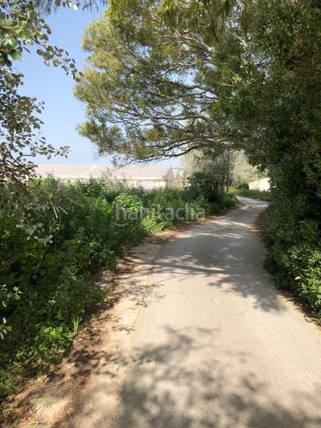 Foto c5b824dc-c693-49c8-9634-e9ba80ee3a25. Finca rústica bonita parcela rústica con invernadero en Barbate