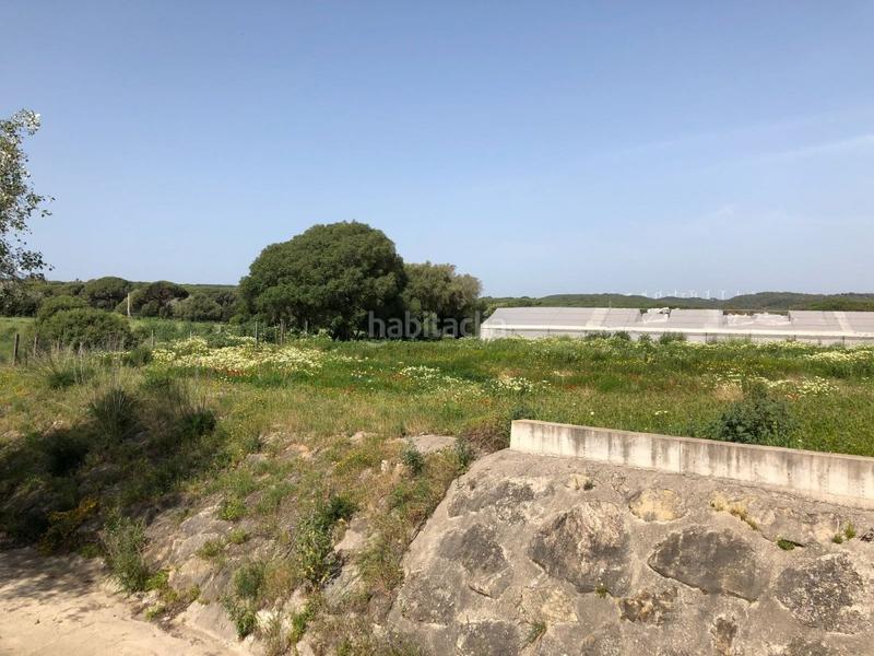 Foto dc9a2a52-5bb7-4504-80a7-7e118d345090. Finca rústica bonita parcela rústica con invernadero en Barbate