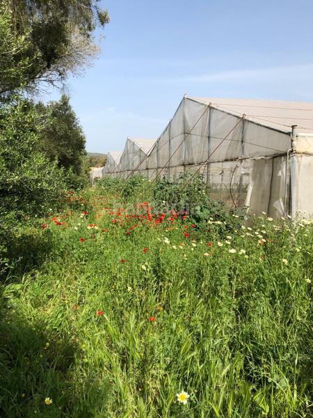 Foto e5309f1f-ae15-479d-884f-048b624a6972. Finca rústica bonita parcela rústica con invernadero en Barbate