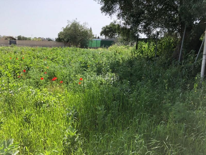 Foto f7f1e2fd-6936-4b18-814e-6a12909b128e. Finca rústica bonita parcela rústica con invernadero en Barbate