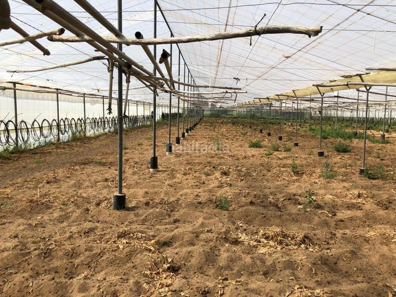 Foto fac1f532-2681-4db3-a890-417012de11bb. Finca rústica bonita parcela rústica con invernadero en Barbate