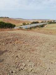 Finca rústica a Barbate. Parcela rústica de 2000 metros en el termino municipal de barbat