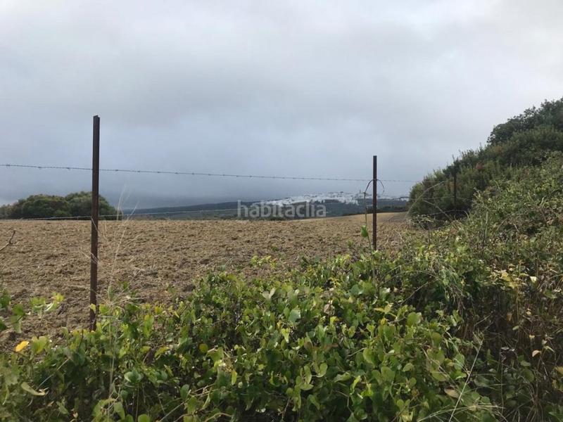 Foto 17fc182a-d127-47cd-b1a8-e59da8679a63. Fondo rustico in Vejer Vejer de la Frontera