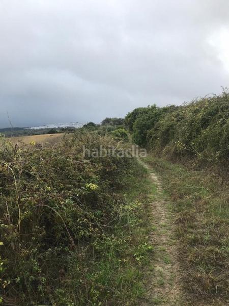 Foto 3ba01264-562b-4186-be3c-d37ffc3092b2. Fondo rustico in Vejer Vejer de la Frontera