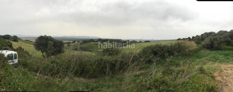 Foto 77104a29-af08-4115-8be2-a7746ac1230d. Fondo rustico in Vejer Vejer de la Frontera