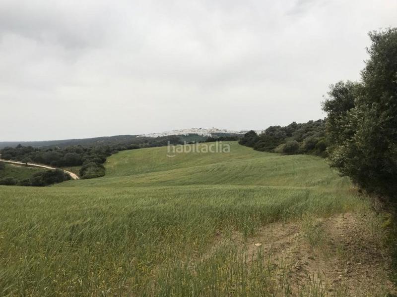 Foto a5960adf-a732-4fc4-afdd-b4244a741010. Fondo rustico in Vejer Vejer de la Frontera