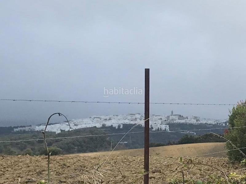 Foto c14ae247-57e1-447b-b4ad-4ab98230da63. Fondo rustico in Vejer Vejer de la Frontera