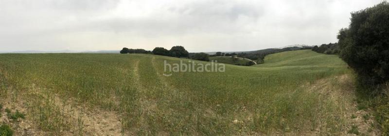 Foto d346b425-0a63-4255-ab45-4fc2d741944b. Fondo rustico in Vejer Vejer de la Frontera