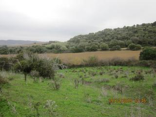 Finca rústica a Vejer. Parcela rústica segregada en paternilla