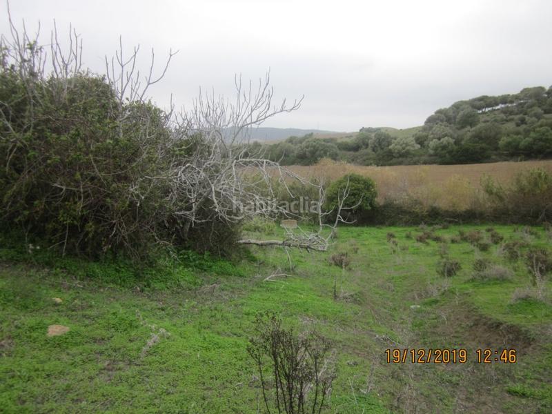 Foto a27aef92-0e80-4fb4-a7a5-aa95ba935452. Finca rústica a Vejer Vejer de la Frontera