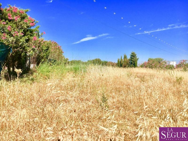 Foto 4877c832-e23a-49fd-9a2c-97ed6a5664bc. Finca rústica preciosa parcela rústica en patria en Vejer de la Frontera