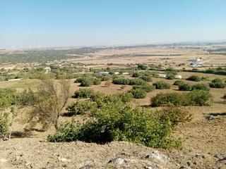 Propriété à Medina - Sidonia. Terreno rústico , gran oportunidad!!!