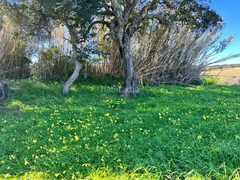 Foto 0db4c1f4-1fc3-42aa-a5c1-8a261c02c7e9. Fondo rustico in Vejer Vejer de la Frontera