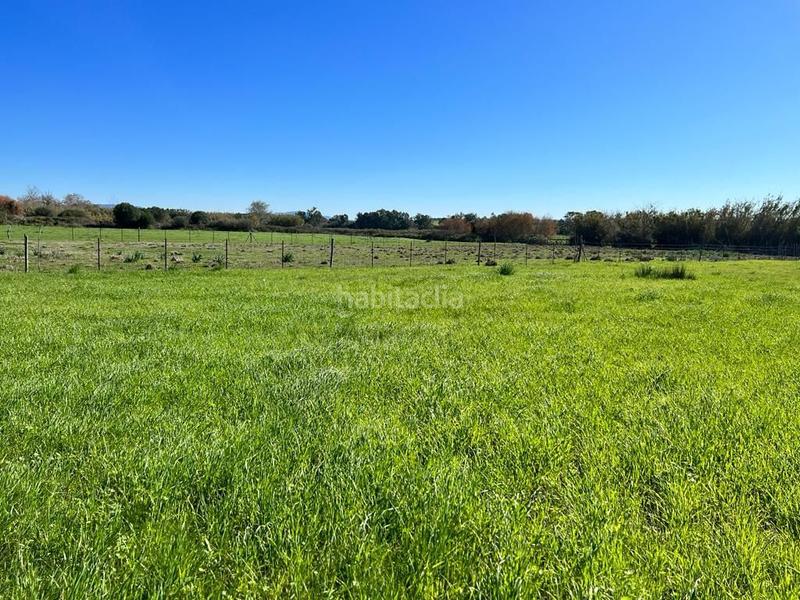 Foto 557789e4-25e7-4d97-84b6-edf5ad0ab08a. Fondo rustico in Vejer Vejer de la Frontera