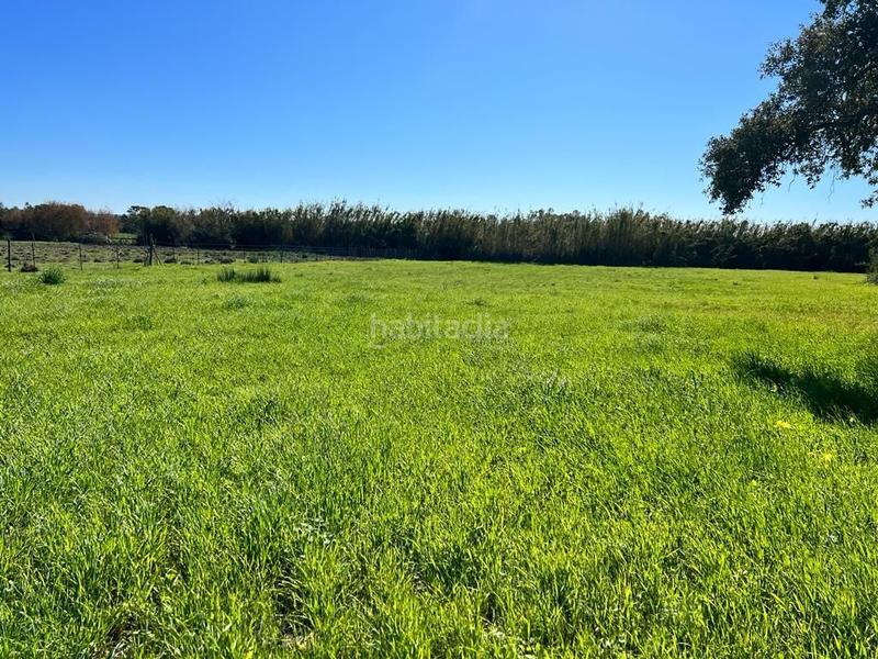 Foto c6fdbf9d-85ce-4a19-a067-f8236d7b04af. Fondo rustico in Vejer Vejer de la Frontera