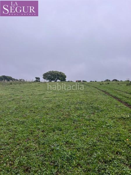 Foto 079ca56b-1ed3-4b9c-80e7-f6663626d07e. Terreno residencial magnífica finca en manzanete en Barbate