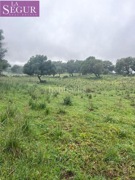 Foto 1f141d48-9445-443e-8cb9-746fee136c0c. Terreno residencial magnífica finca en manzanete en Barbate