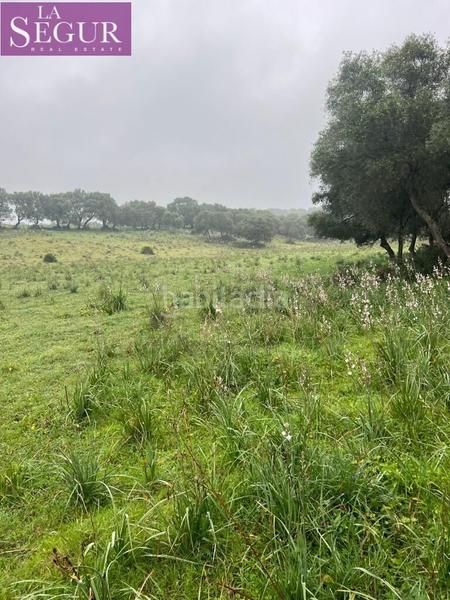 Foto 37d1d67c-8f3f-43d5-a430-0f3cb0fe2336. Terreno residencial magnífica finca en manzanete en Barbate