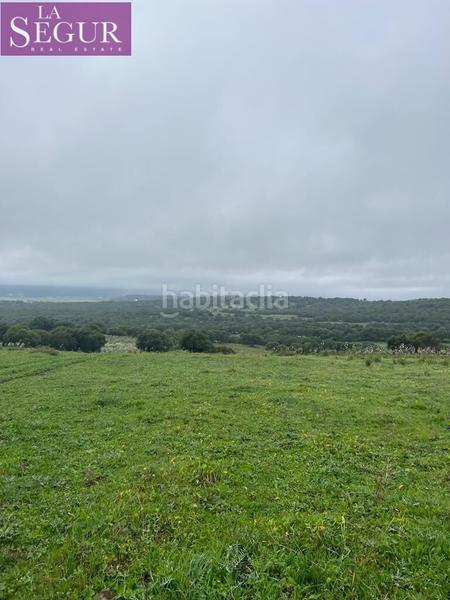 Foto 6a5f8b64-5e1d-4fc9-8011-c85a39a28fa2. Terreno residencial magnífica finca en manzanete en Barbate