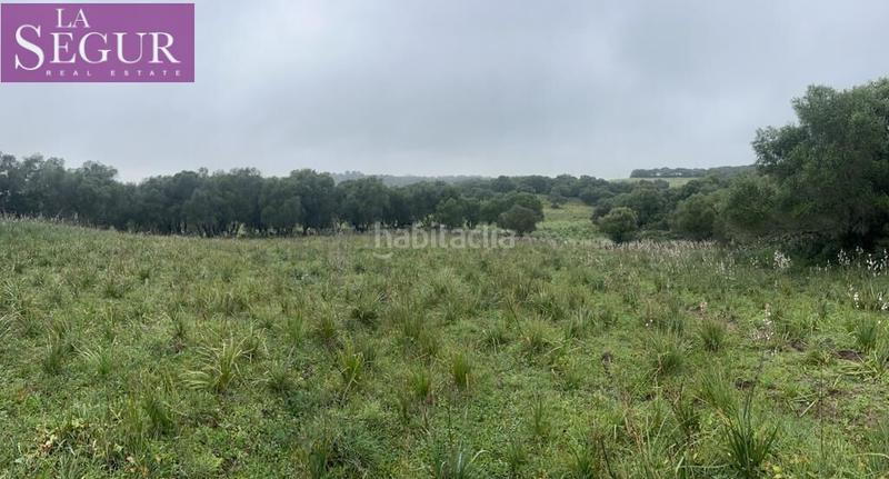 Foto 726bfa64-00f0-4832-aaae-7f544553a9a9. Terreno residencial magnífica finca en manzanete en Barbate