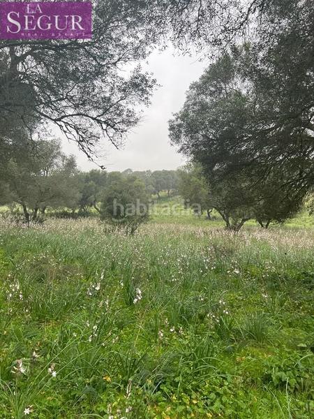 Foto 7712df71-59de-414c-99ae-1f3434260ffe. Terreno residencial magnífica finca en manzanete en Barbate