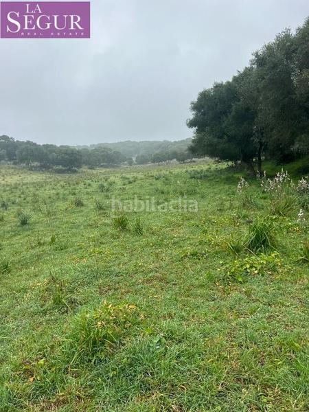 Foto 9ce8a0c1-4c02-43b1-8109-b41e7038d209. Terreno residencial magnífica finca en manzanete en Barbate