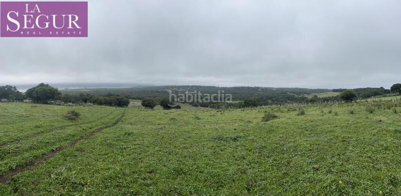 Foto b2be76b6-5029-4395-8253-1d664fc995ee. Terreno residencial magnífica finca en manzanete en Barbate