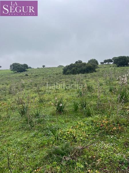 Foto f949341d-50ad-448e-82de-12a019108947. Terreno residencial magnífica finca en manzanete en Barbate