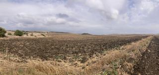 Finca rústica a Carretera vejer- el palmar. Parcela rústica en la carretera vejer el palmar