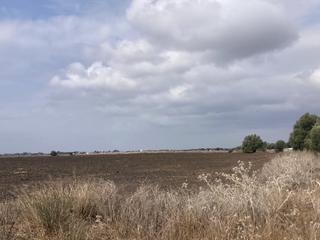 Finca rústica a El Palmar. Parcela rústica en la carretera vejer el palmar