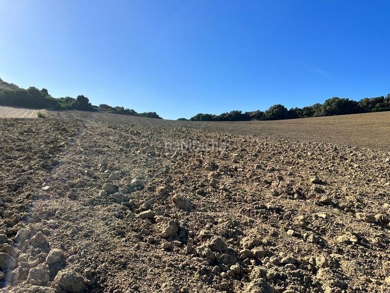 Foto 51a700af-38eb-493e-b78c-05caf24ab227. Masia a Vejer Vejer de la Frontera