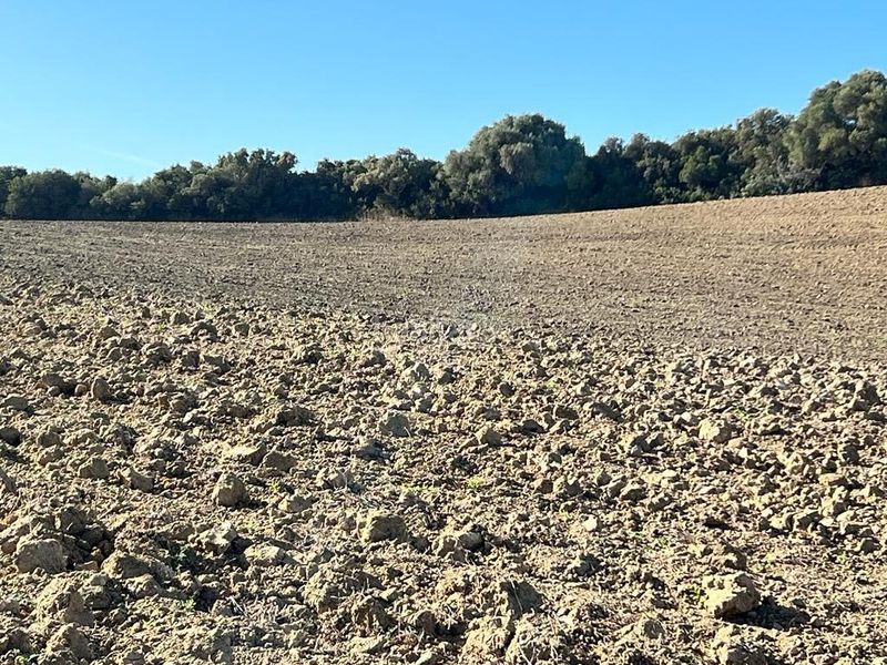 Foto 7b8d0afa-c5e5-475e-be06-a0f67d620345. Masia a Vejer Vejer de la Frontera