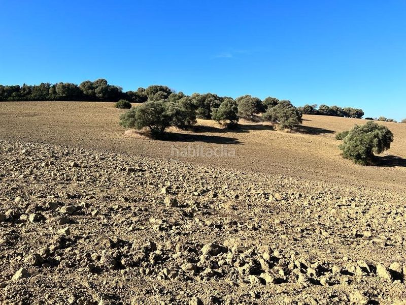 Foto baa314c5-740c-4446-9b3d-ea9d36ed9714. Masia a Vejer Vejer de la Frontera