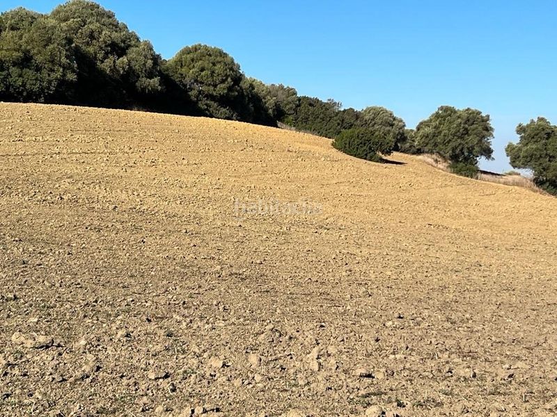 Foto c071ac05-9b44-424d-b538-f5439071e7be. Masia a Vejer Vejer de la Frontera