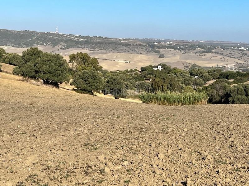 Foto cf8fd900-6eef-46a3-8b0f-281f418c312a. Masia a Vejer Vejer de la Frontera