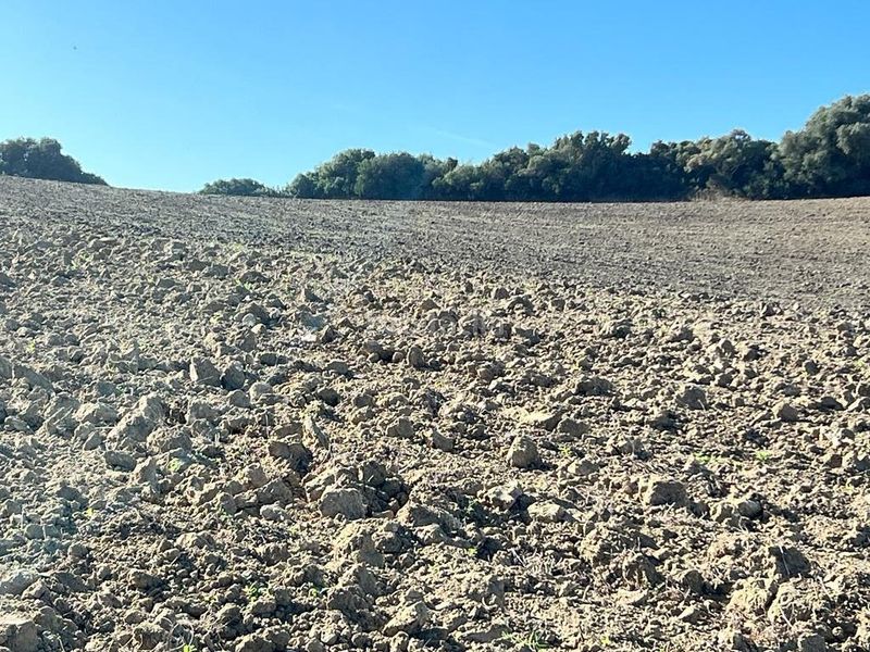 Foto fcd65b33-3c26-4c74-bf89-abaffe19a1b6. Masia a Vejer Vejer de la Frontera