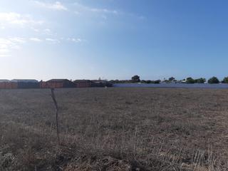Terreny residencial a El Palmar. Parcela rústica en el palmar