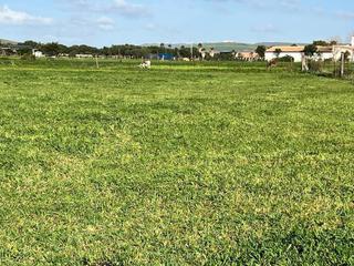 Finca rústica a El Palmar. Terreno en venta en el palmar