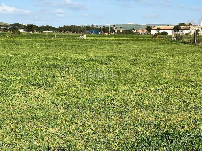 Foto b695f7f0-2383-48f3-af93-a804c4059d52. Fondo rustico in El Palmar Vejer de la Frontera